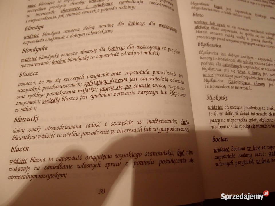 Wielki Sennik M Skierkowski i J Włostowski łódzkie Łódź