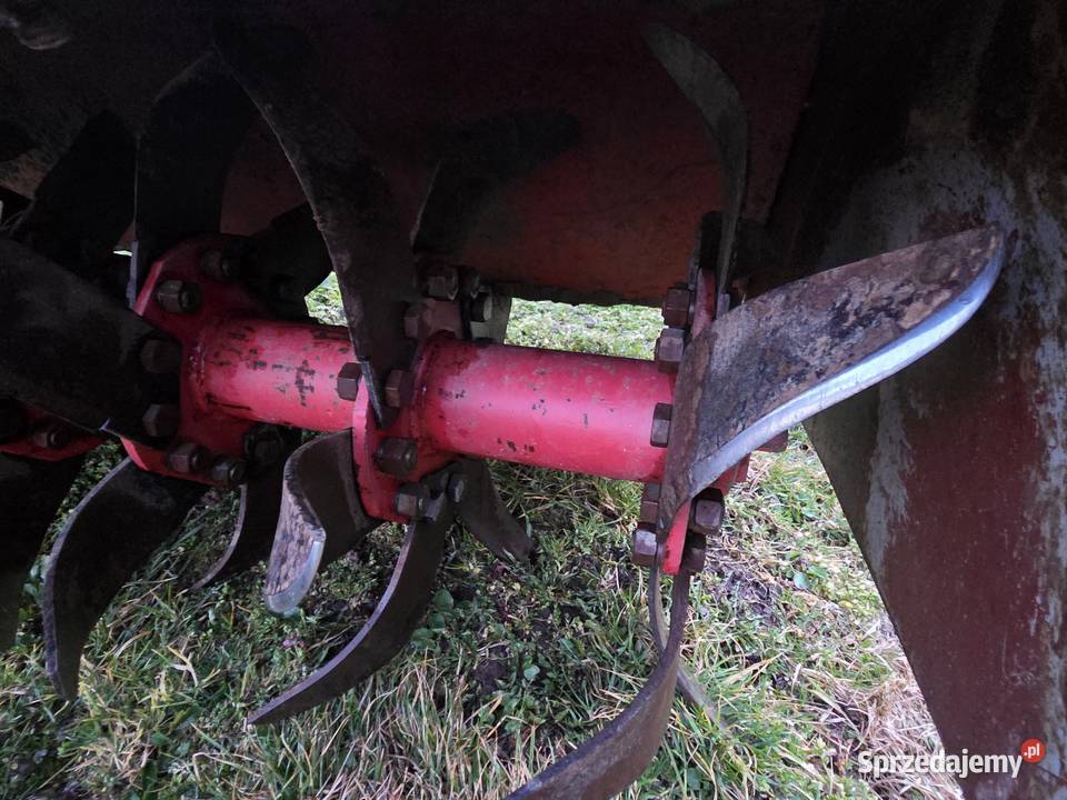 Sprzedam Grebogryzałke Grudziądz 165 Wrzawy