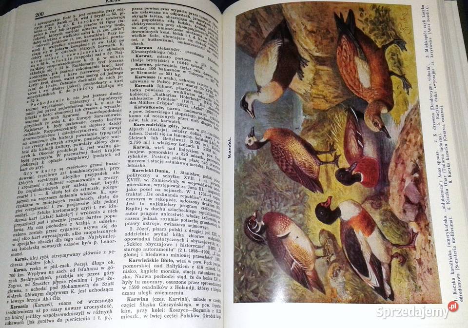 encyklopedia powszechna Tom 7 Izaszar do Chełm sprzedam