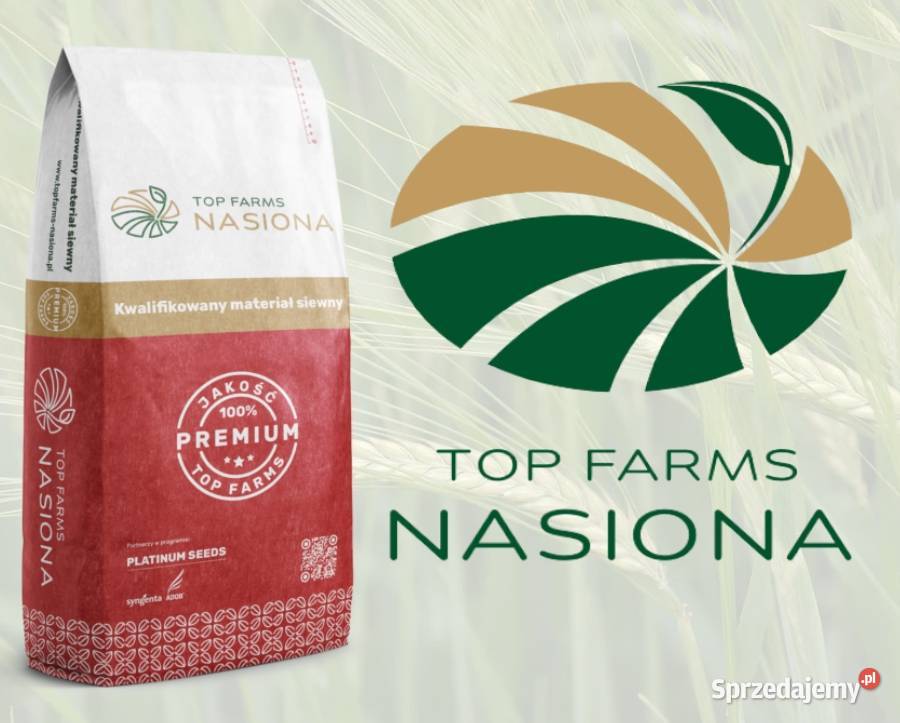 Jęczmień jary RGT Gagarin Top Farms Zboża Człuchów