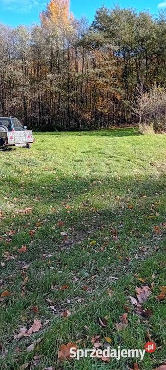 Dzialka lesna z dojazdami Andrychów