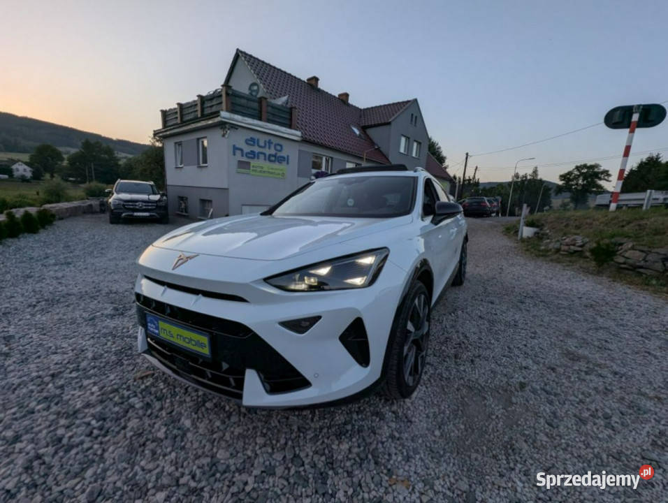 Cupra Formentor Cupra VZ 333 20 TSI 4x4 bogata Kamienna Góra sprzedam
