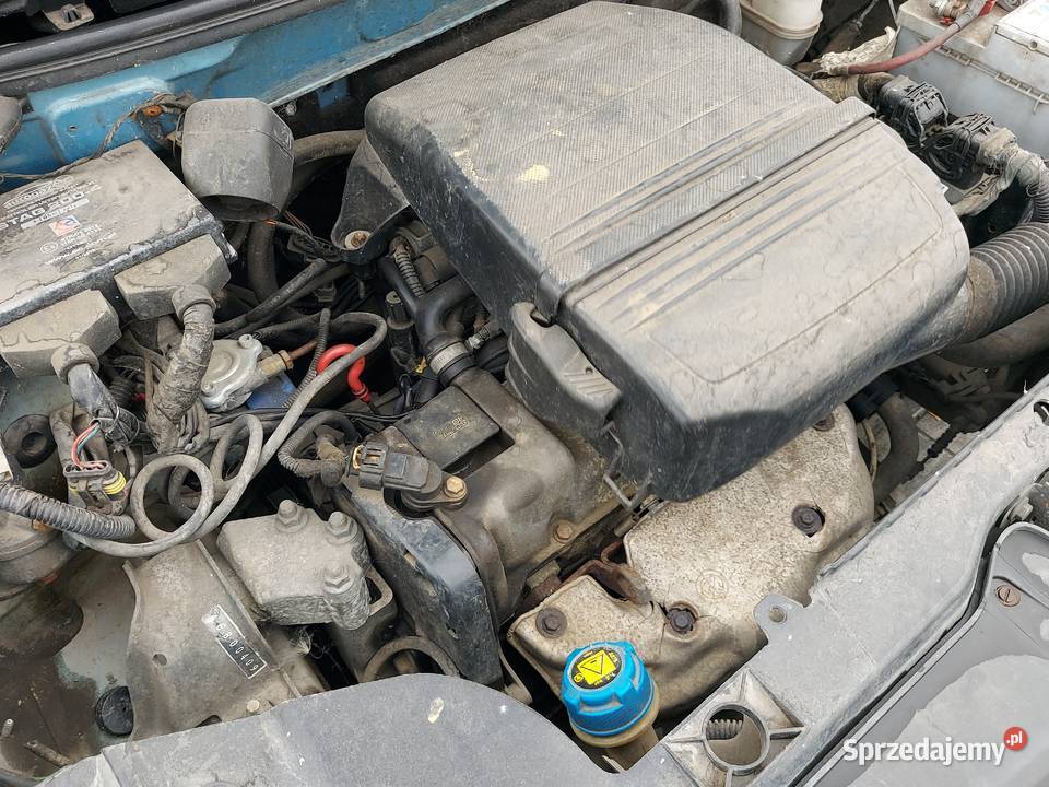 Fiat Panda 11 GAZ zarejestrowany Możliwa Zamiana Rok produkcji 2003 Strzałkowo
