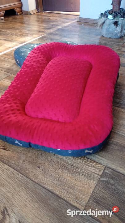 Czerwone legowisko Inowrocław