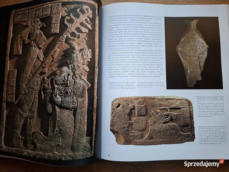 Niezwykła cywilizacja Majowie Buchmann sztuka, kultura i etnologia Książki naukowe i popularnonaukowe małopolskie