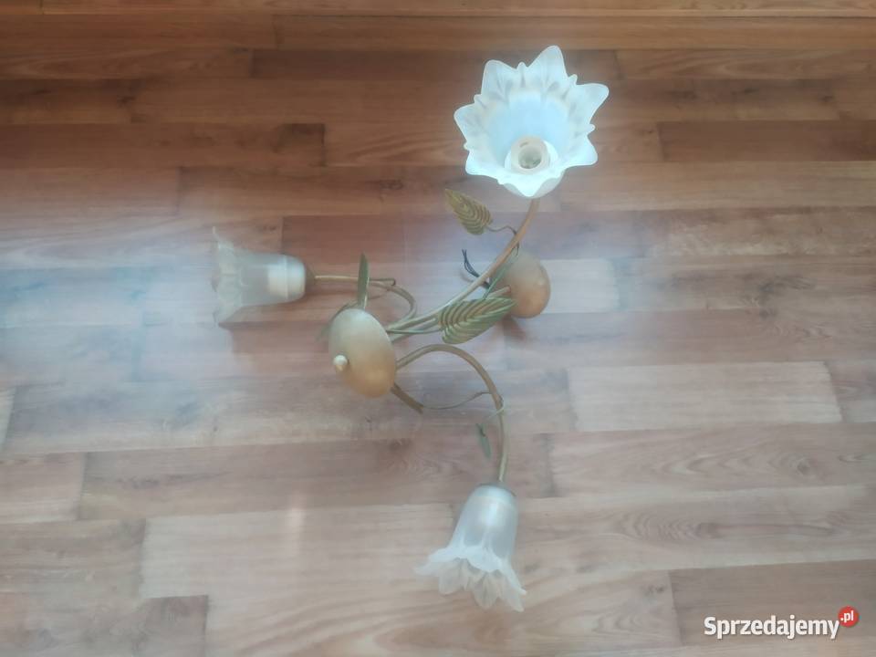 Żyrandol lampa wisząca ze szklanymi kloszami Szczecinek