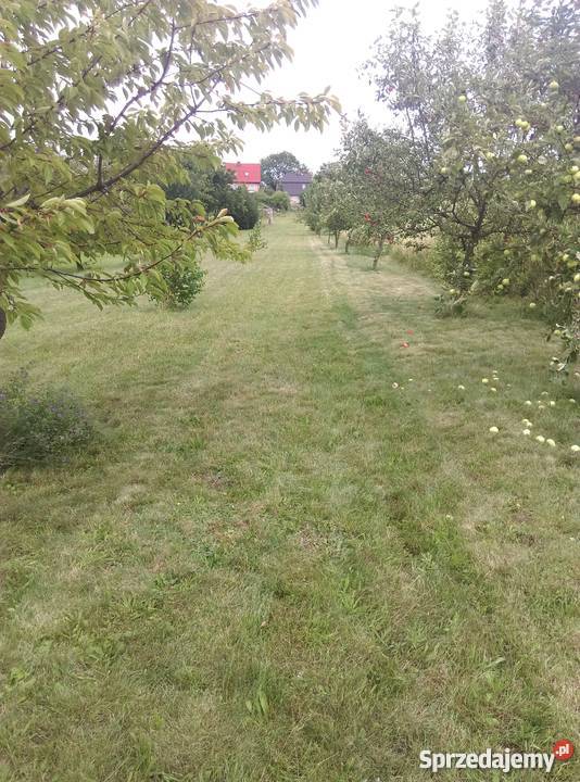 Dom na sprzedaż dolnośląskie Nowy Jaworów sprzedam