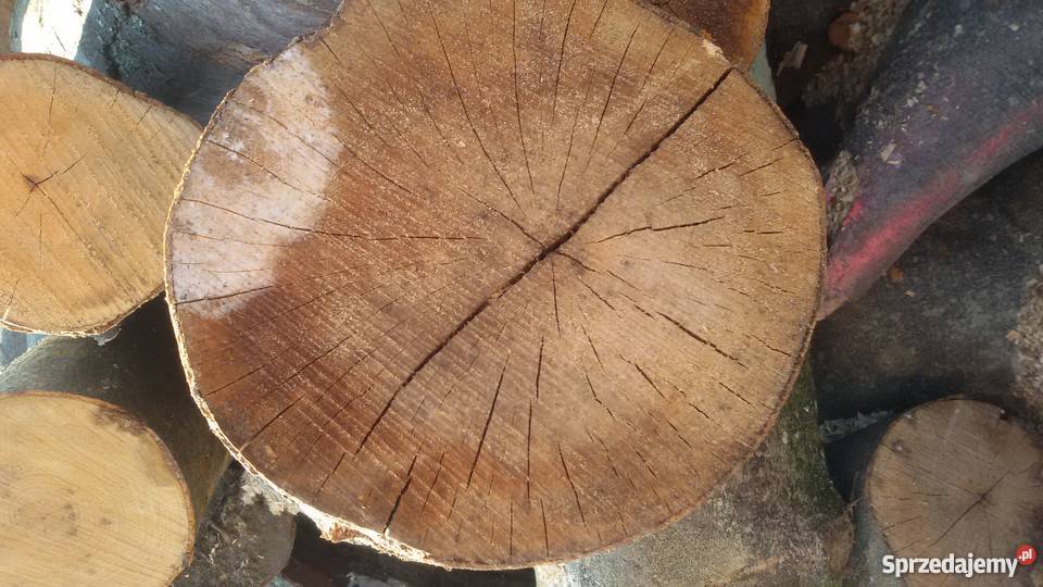 DREWNO TWARDE PROMOCJA Opał Opał warmińsko-mazurskie Morąg