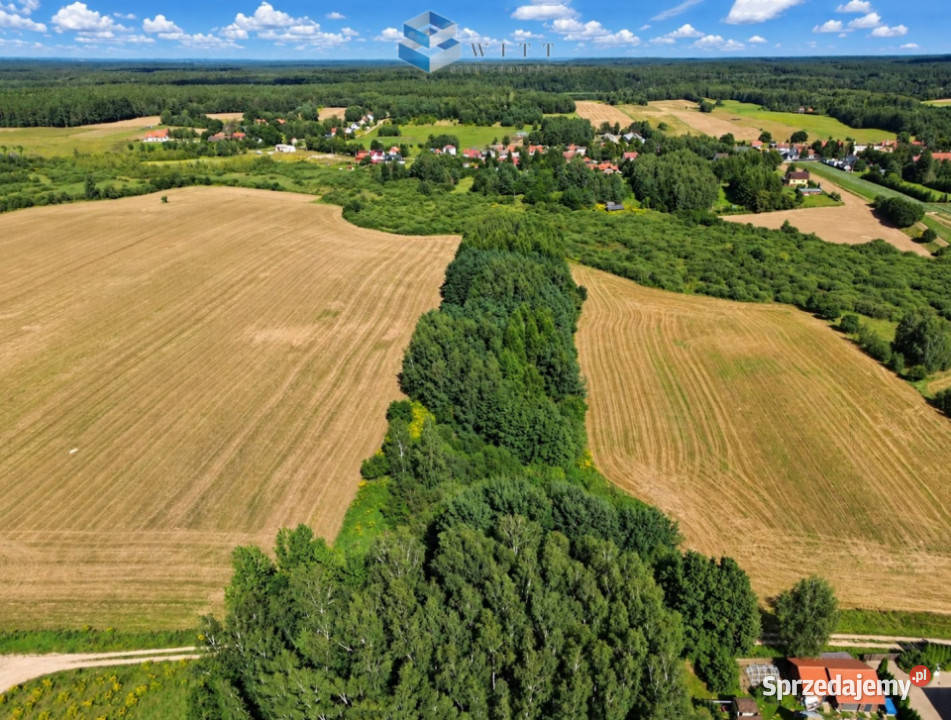 sprzedaży gruntu Zwierzewo 3124m2 gaz Sprzedaż