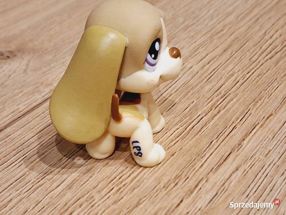 Basket pies Littlest Pet Shop 3 lata+ Braniewo