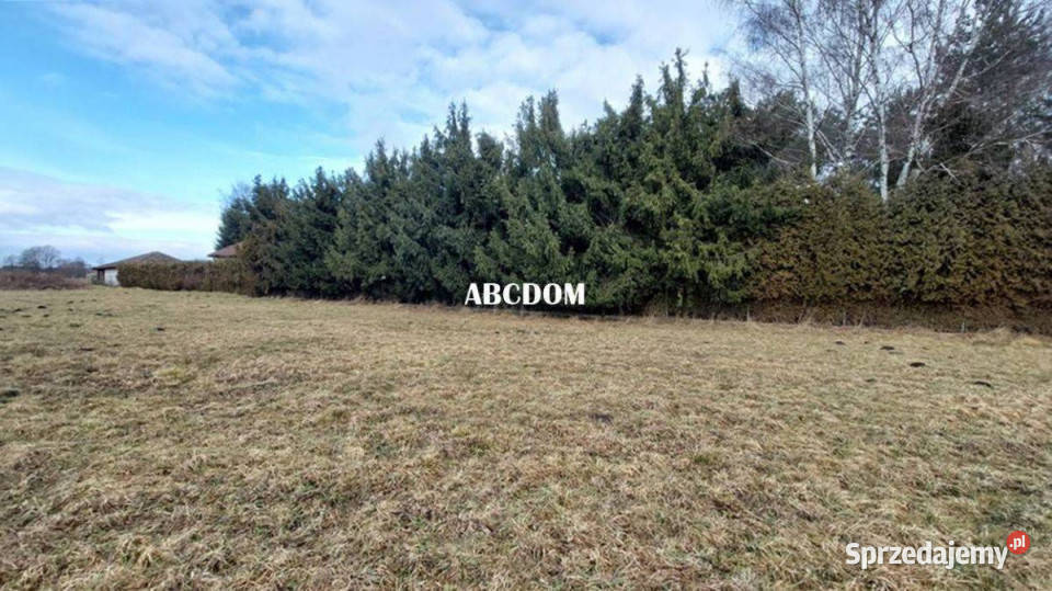 Cholerzyn działki budowlane 166 ara 3Mn2 0m