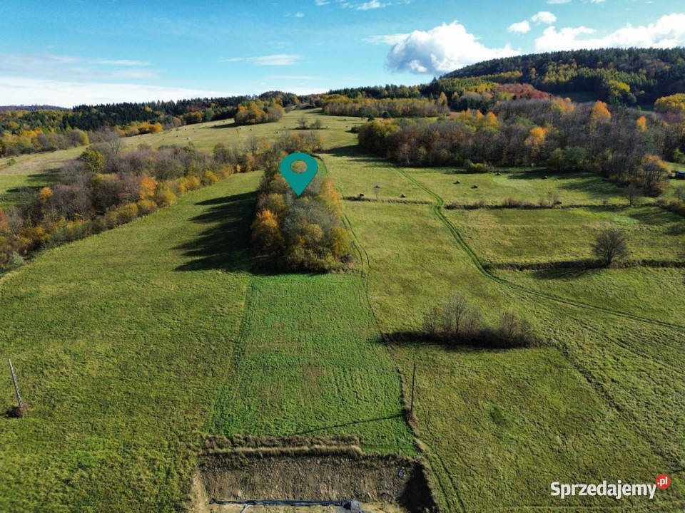 Ziemia 2000m2 RymanówZdrój rolna Nieruchomości Rymanów-Zdrój