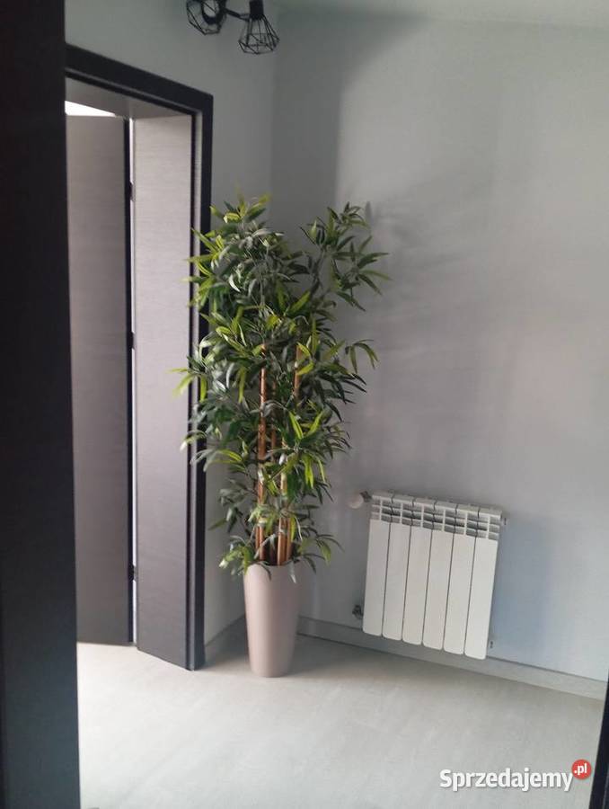 Duży dom w Lubieniu PKP duże budynki gospodarcze metalowe Sprzedaż łódzkie Lubień