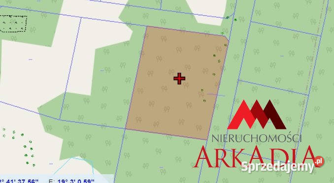 Działka na sprzedaż ŁęgWitoszyn 3856m2 Sprzedaż Łęg-Witoszyn