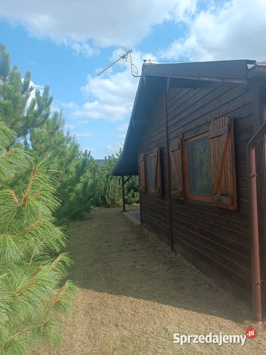 Sprzedam domek letniskowy jeziorem y Konin