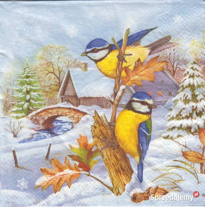 Dekupaż Boże Narodzenie zima ptaszki sikorki