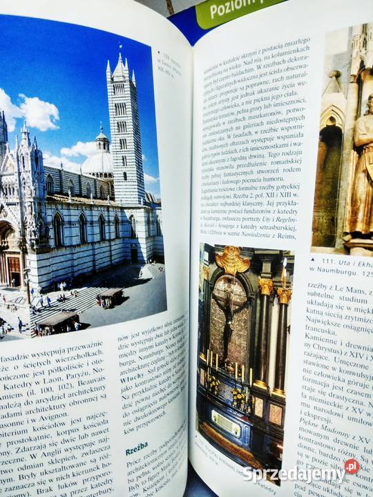 Sztuka i czas Osińska prehistorii do Antykwariat Warszawa