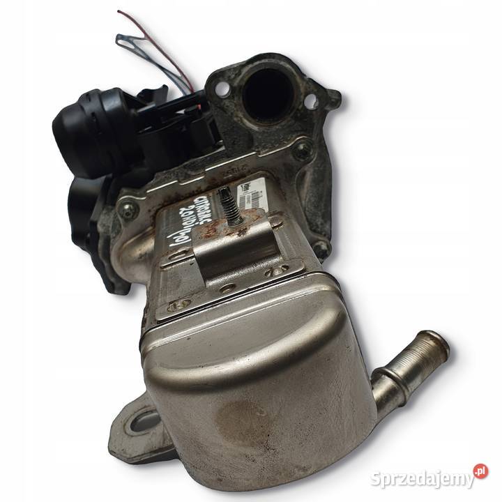 CHŁODNICA SPALIN Citroen C5 III 20 HDI V29004027 Recyrkulacja spalin EGR Chełm