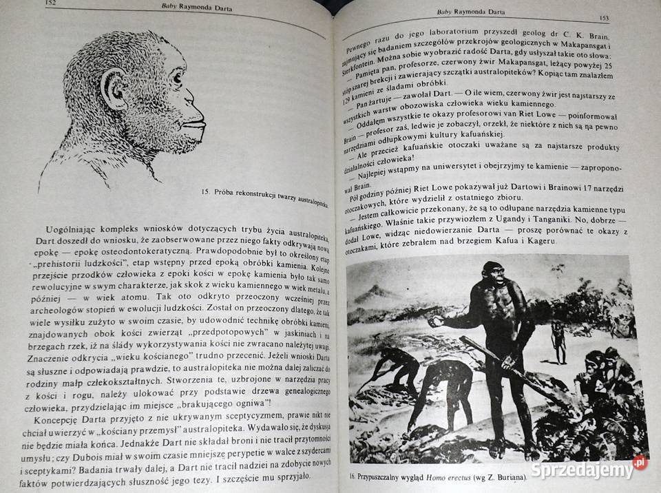 W poszukiwaniu przodków człowieka Witalij Chełm