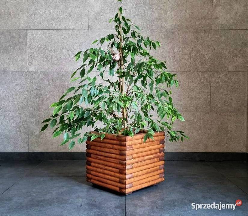 Donice nowoczesne 3D drewniane Zestaw 2 donic Kalety