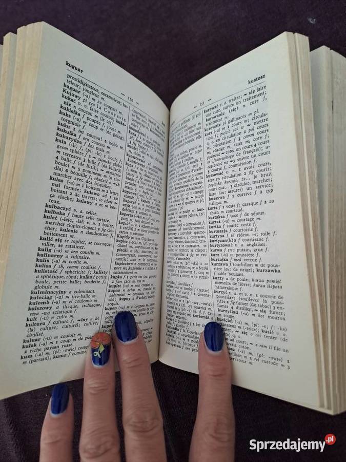 Słownik polskofrancuski Wrocław