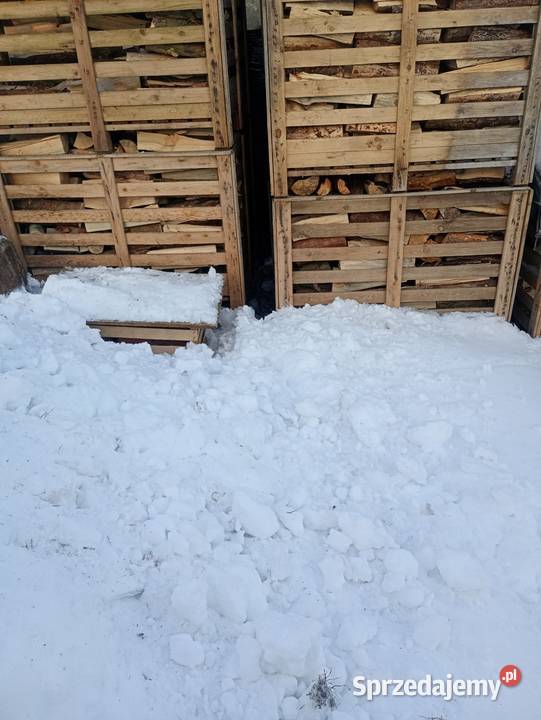 Drewno kominkowe Banino