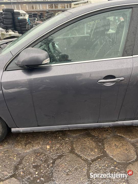 Drzwi lewy przód Renault Latitude Tewxa lubelskie Radzyń Podlaski