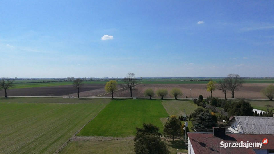 DZIAŁKI BUDOWLANE Z KOMPLETEM DOKUMENTÓW Dąbrowa 104zł/m2 wielkopolskie