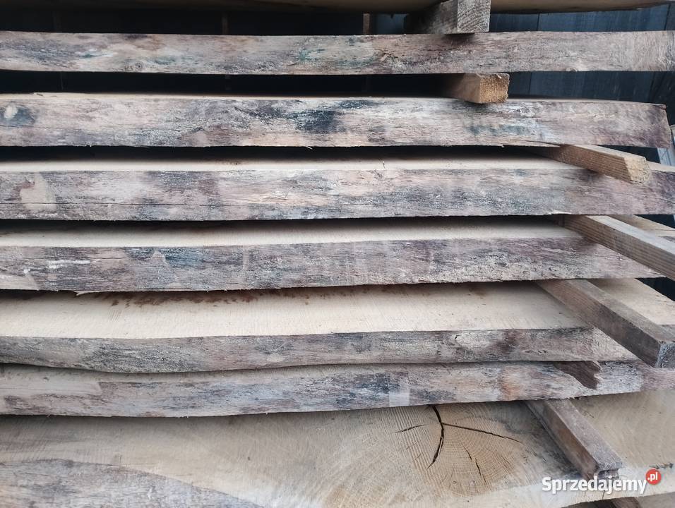 Dąb deski suche 5 Dąbrowica