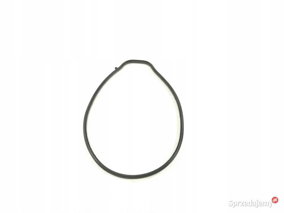 USZCZELKA POMPY WODY ROVER 75 400 V6 PET100760