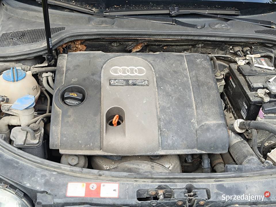 Audi A3 8P 16 b LPG Rejowiec Fabryczny