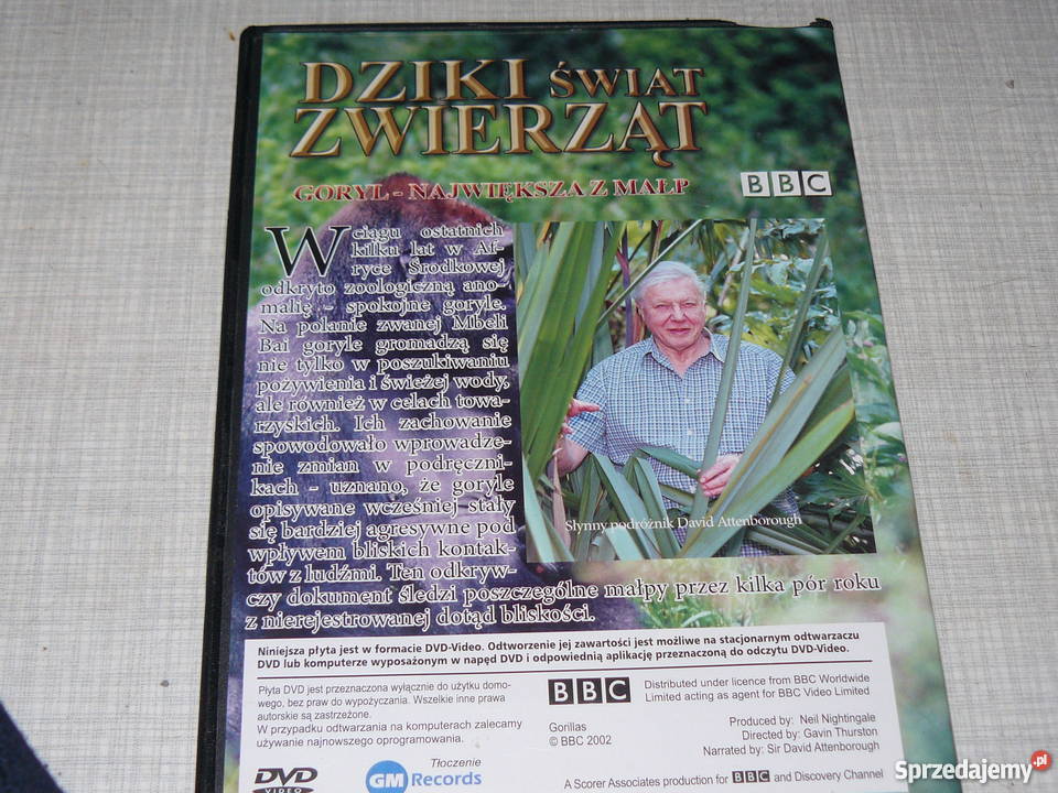 Płyty DvD świat zwierząt na jesienne wieczory Nowa Sól