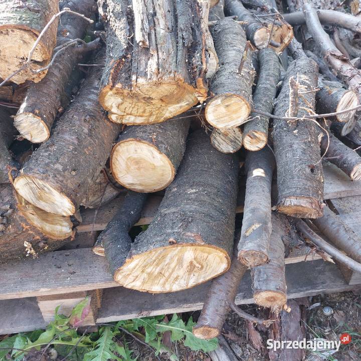 Drewno wiśnia olszyna do wędzenia Łapy