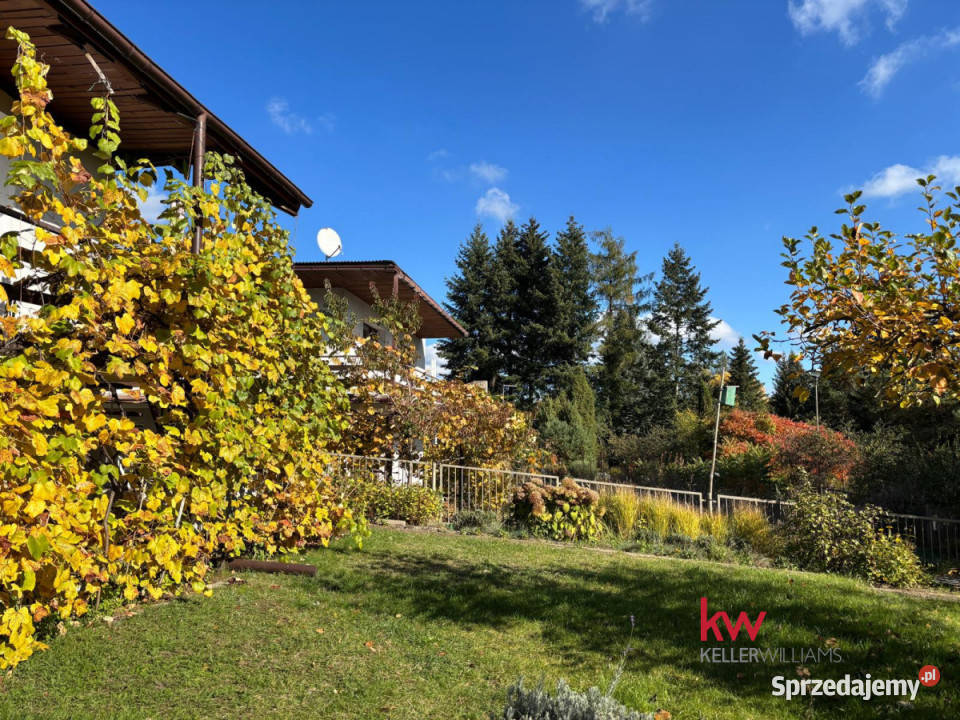 Dom wolnostojący Przybrodzin 955m2 95.5m2