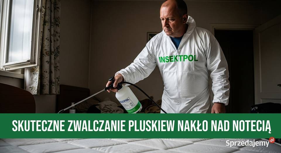 Zwalczanie Pluskiew Nakło Notecią Dezynsekcja Nakło nad Notecią