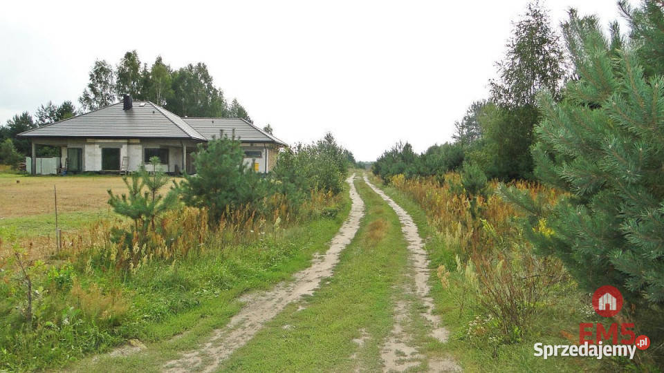 Grunt 10400m2 Zalesiany Nieruchomości