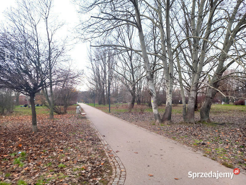 Ogłoszenie mieszkanie 5766 metrów 3pok Warszawa