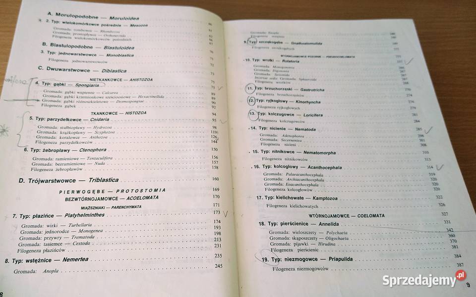 Bezkręgowce podstawy morfologii funkcjonalnej Rok wydania 1996 Gdańsk sprzedam
