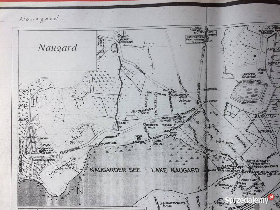 446 Niemiecki Plan Nowogardu Szczecin