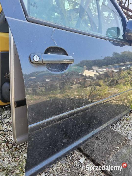 Drzwi Volkswagen Bora