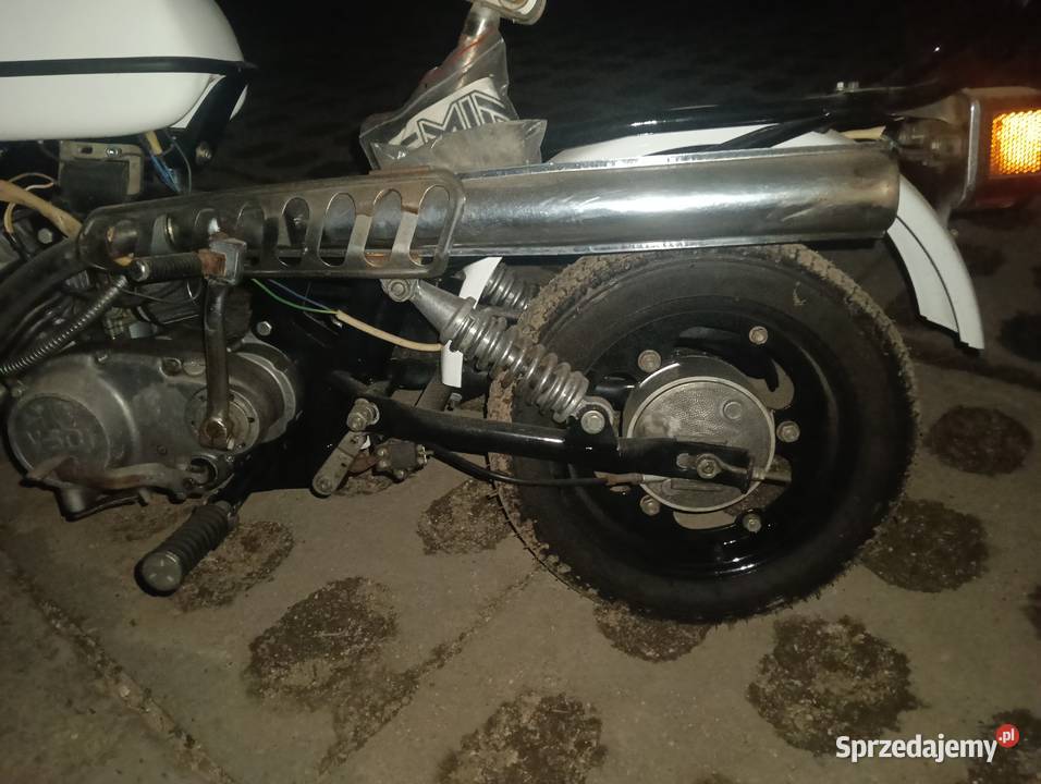 Mini riga Pozostałe Sanok