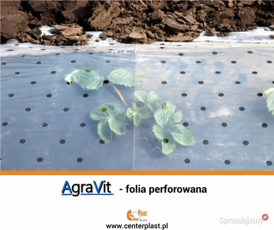 Folia perforowana AGRAVIT 85 X 100 ogrodnicza Brzeziny sprzedam