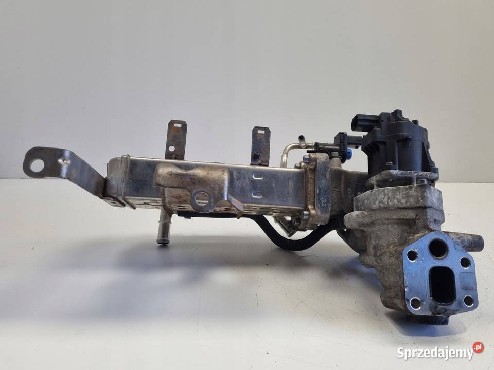 CHŁODNICA SPALIN egr Opel Antara 22 CDTI lubelskie Rudka