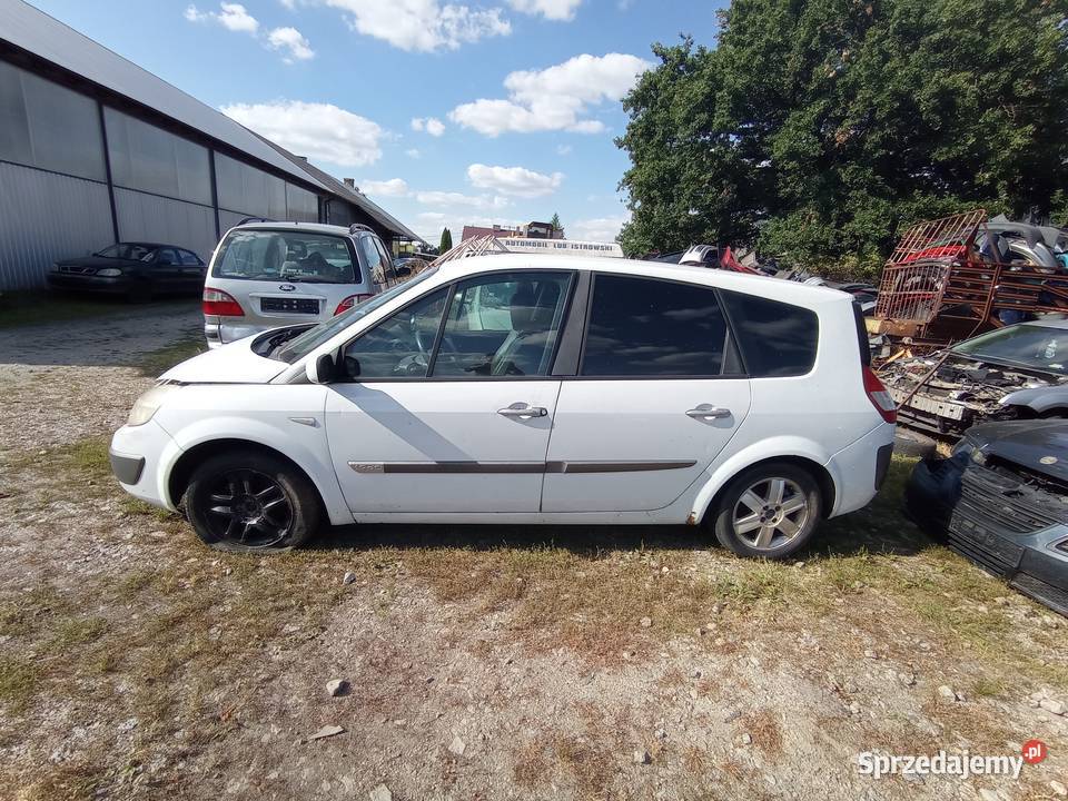Renault Megane Scenic 19 96 kW 2005 r dawca osobowe Samochody na części Szklarka Myślniewska sprzedam