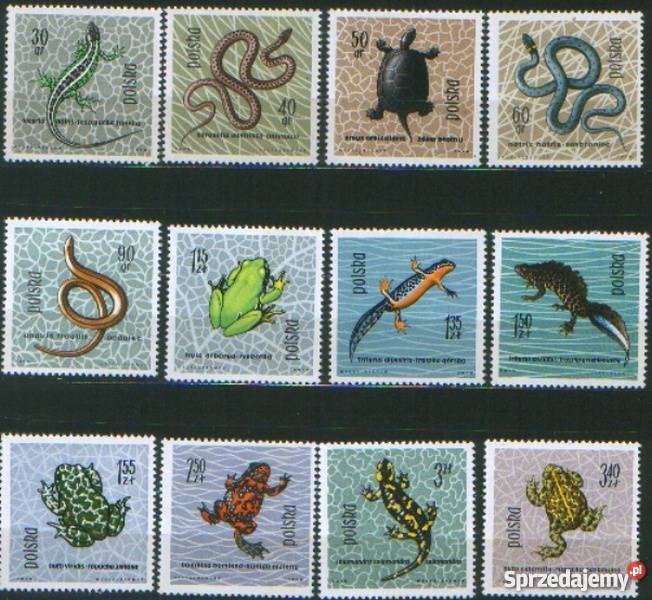 Zn Fi 1245 56 1963 śląskie Gliwice