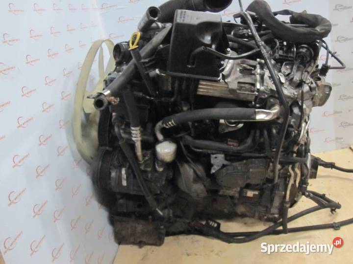 SPRINTER 22 CDI 651955 651955 130 166 14r silnik Kielce sprzedam