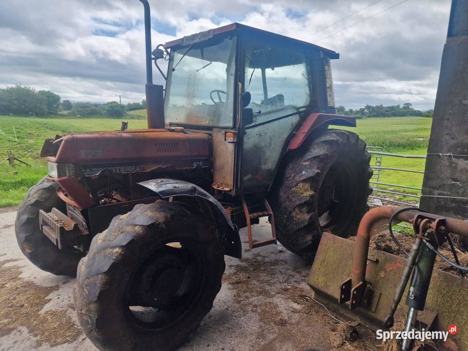 Case International Dminin sprzedam