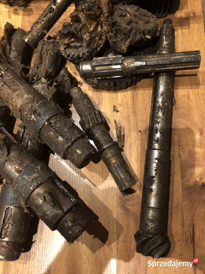 nowy wałek ataku dzik 2 dzik 21 wielkopolskie Piła