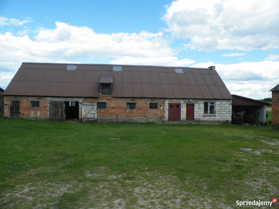 Domek pod lasem w Borach Tucholskich Brzozie