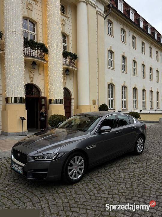 Jaguar XE 20 T Pure 200 2015r Bezwypadkowy
